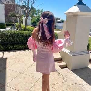 Wolf & Badger baby pink Cupid dress, gloves, and pink puff sleeve. Worn once.